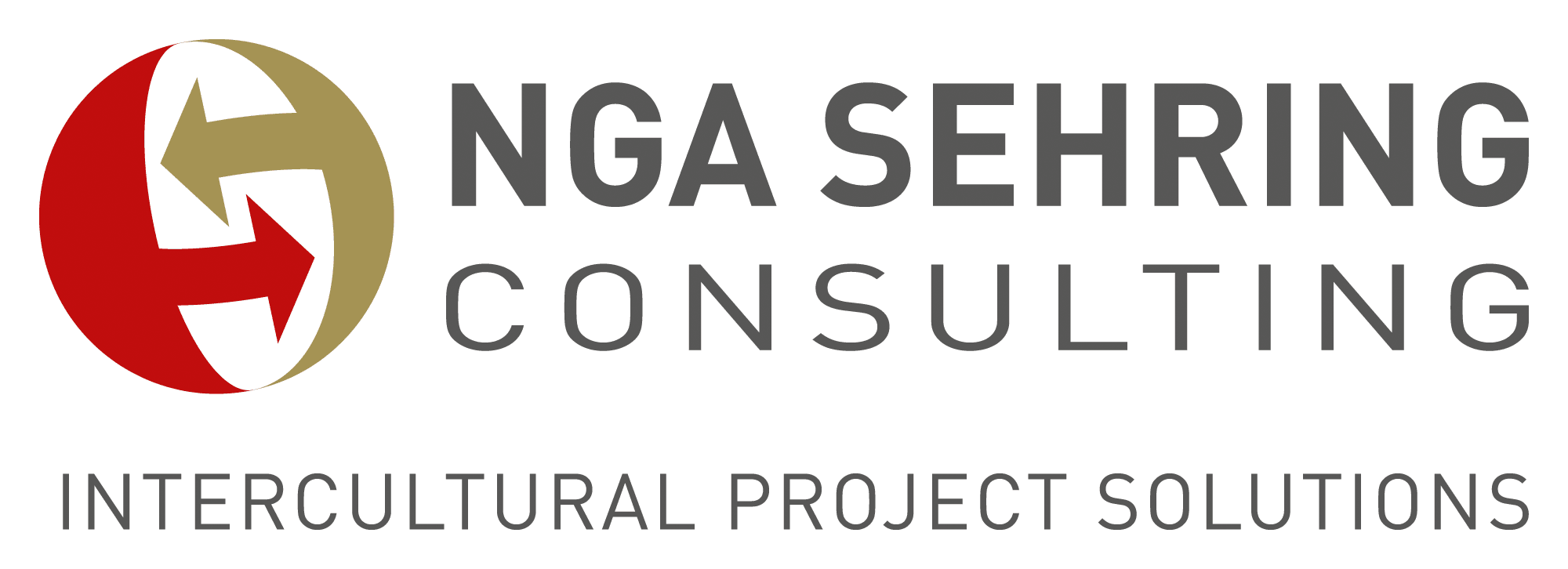 NGA Sehring Consulting